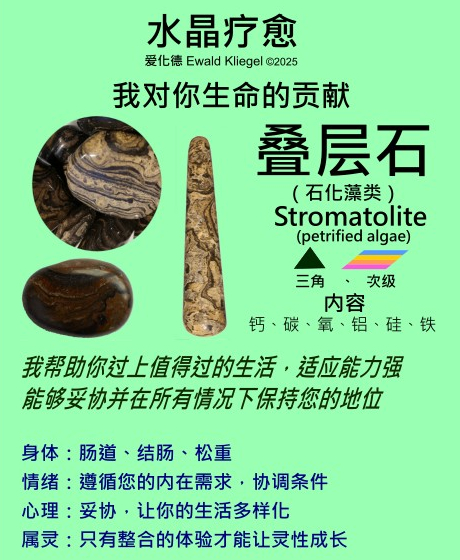 叠层石 stromatolite
